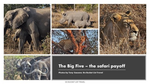 The Big Five on Our Safari
