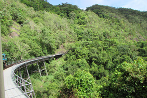 Rail Through the Australia Rain Forest