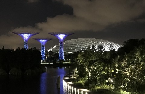 Singapore’s Garden by the Bay